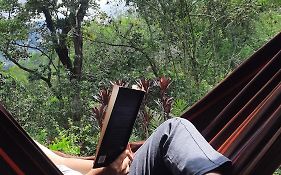 Aire Libre Descanso